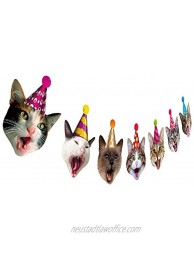 Birthday Cat Garland Photographic Cat Faces Birthday Banner Kitties Bday Party Bunting Decoration