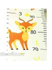 Growth Chart for Kids,Height Chart,Wall Ruler Removable Height Measure Chart Hanging Ruler for Toddler Height Wall Chart for Boy Girl Room Decor Wall Decor Animal
