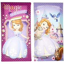 Disney Sofia the First Glow in the Dark Wall Art Toy Pack of 2