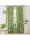 BROSHAN White and Green Curtains for Bedroom 1 Panel Monstera Palm Leaf Window Curtain Tropical Curtains &Drapes for Jungle Safari Kids Boys Girls Room Darkening Window Treatments 78 inches Long