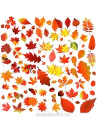 Konsait Thanksgiving Window Clings170 pcs Autumn Maple Leaves Window Decals for Fall Happy Thanksgiving Party Harvest Festival Seasonal Glass Window Decorations