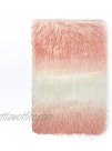 Heritage Kids Shaggy Long Hair Faux Fur Rectangular Area Rug for Kids Rooms Teens Nurserys Playrooms 30"x46"L Ombre Blush
