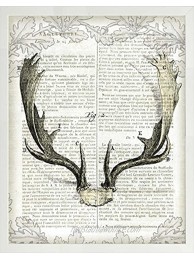 Frame Company Connolly White Sue Schlabach Regal Antlers on Newsprint II A2