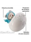 Fisher-Price Butterfly 2-in-1 Soother