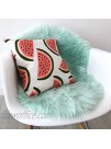 Machine Washable Faux Sheepskin Mint Rug 2' x 3' Soft and Silky Perfect for Baby's Room Nursery playroom Pelt Small Mint