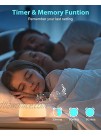 Anescra White Noise Machine for Baby Adults Kids Sound Machine Battery and Plug in 24 Soothing Sounds Machine with Night Light Portable Sleep Noise Maker Machine for Home Office Travel
