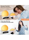 Sound Machine for Sleeping 6-in-1 7 Colors Night Light with 30 Soothing Sounds 20 Levels of Brightness Volume for Baby & Adults Wake Up Lights Sunrise Alarm Clock Light with Snooze & Dual Alarms