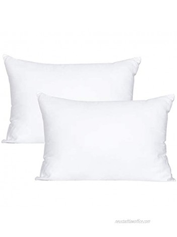 FLXXIE 2 Pack Toddler Pillows Down Alternative Bed Pillows Soft and Comfortable Baby Protective Pillows 13" x 18" White