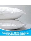 kinder Fluff Toddler Pillow 2 Pcs -The only Pillow with 300T Cotton and Down Alternative Fill- Hypoallergenic & Machine Washable. Ideal Baby Pillow for Toddler Bed or Travel Pillow