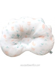 Organic Cotton Breathable 3D Air Mesh Baby Pillow for Newborn Protection for Flat Head Syndrome; Cloud-Little ForestPeach Mint