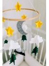Baby Crib Mobile by Sorrel & Fern- Starry Woodland Night Nursery Decoration | Crib Mobile for Boys and Girls | Long Evergreen Ceiling Mobile