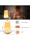 TAIPOW Touch Night Light Touch Lamp Auto-Off Timer Bedside Table Lamp 5 Level Dimmable Warm White Light & 13 Color Changing RGB with Portable Remote Control for Babyroom Bedroom Hallways