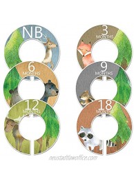 6 Baby Boy Nursery Clothes Closet Size Dividers Woodland Watercolor Gender Neutral