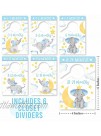 6 Baby Closet Size Dividers Boy Elephant Baby Closet Dividers By Month Baby Closet Organizer For Nursery Organization Baby Essentials For Newborn Essentials Baby Boy Nursery Closet Dividers Boy