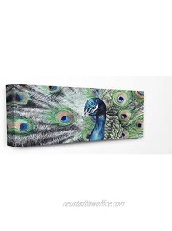 Stupell Industries Elegant Feathers Painted Peacock Canvas Wall Art 13 x 30 Multi-Color