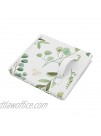 Sweet Jojo Designs Floral Leaf Foldable Fabric Storage Cube Bins Boxes Organizer Toys Kids Baby Childrens Set of 2 Green and White Boho Watercolor Botanical Woodland Tropical Garden