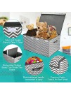 Kids Toy Box Chest Storage with Flip-Top Lid Collapsible Sturdy Toys Boxes Organizer Bins with Handles for Nursery,Playroom,Closet Home Organization
