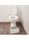 Dreambaby Toddler & Me Step Stool Potty Seat Training Aid with Anti-Slip Sure-Grip Steps Holds Up to 320lbs for Kids & Adults Grey Model L6062
