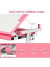 Kids Desk and Chair Set Height Adjustable Children Study Table Students Interactive Workstation with Storage Drawer and Hook 45°Tilted Desktop for Boys Girls Pink