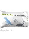 Jay Franco & Sons Trend Collector Dinosaur Roar Full Sheet Set 4 Piece Set Super Soft and Cozy Kid’s Bedding Fade Resistant Microfiber Sheets