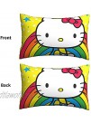Rainbow Cat Girls Reversible Pillowcase Standard Kids Pillow Cover Soft Microfiber Breathable and Hypoallergenic Living Room Decorative Case Set 20 X 30 Inch 1 Piece Pillow Case Only